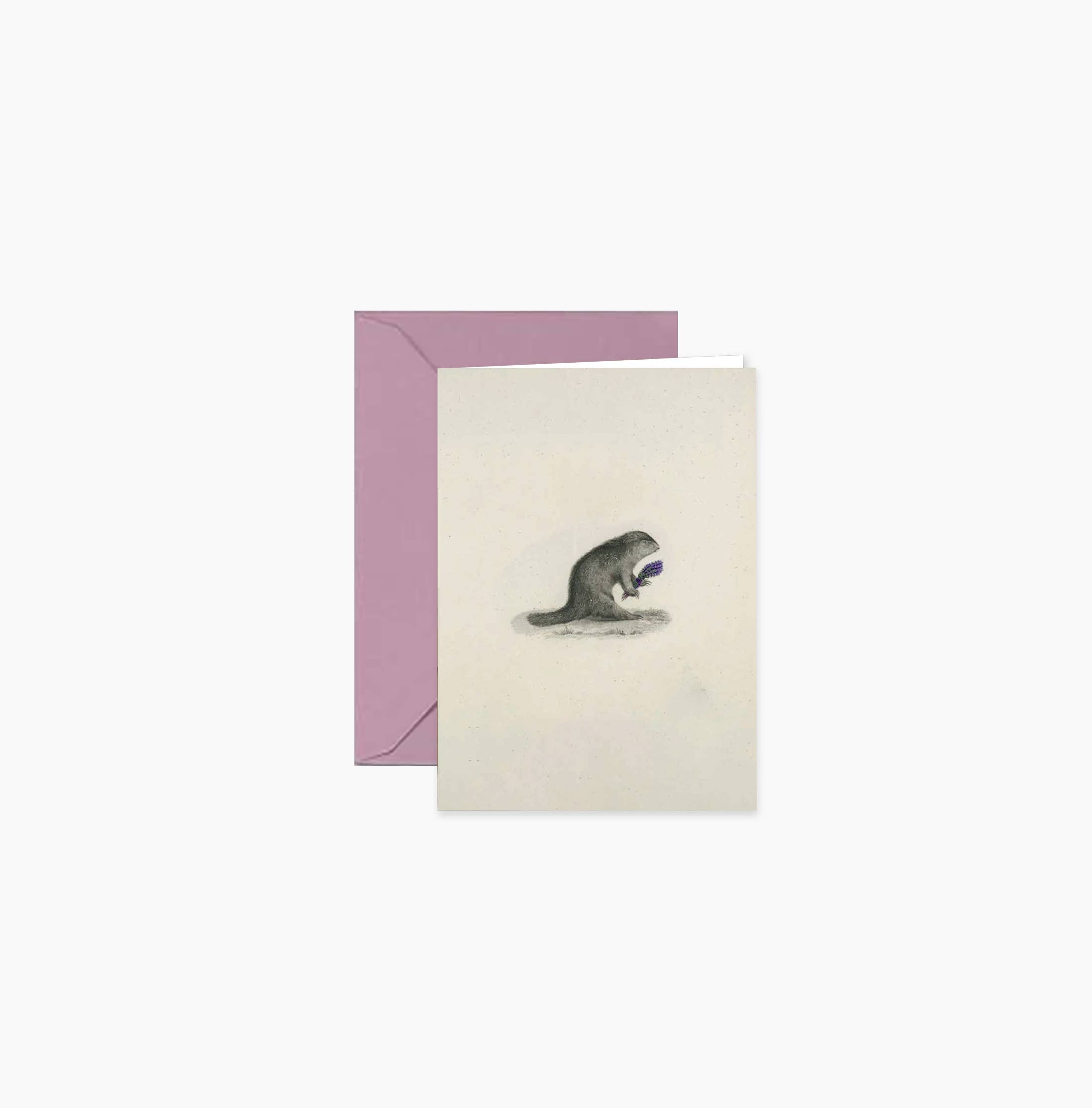 Warwick Furnace Farm LLC - Wholesale Stationery/Notecard Set - Mini Stationery | Creature Trio (Set of 3)1