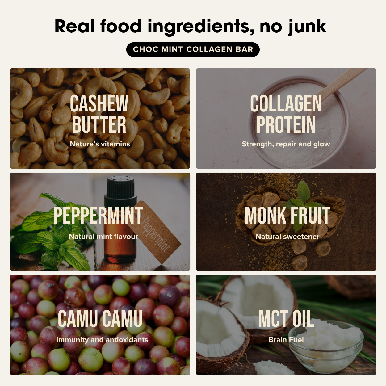 Chief Nutrition - Wholesale Snack bar - Collagen Protein Bars - Choc Mint10