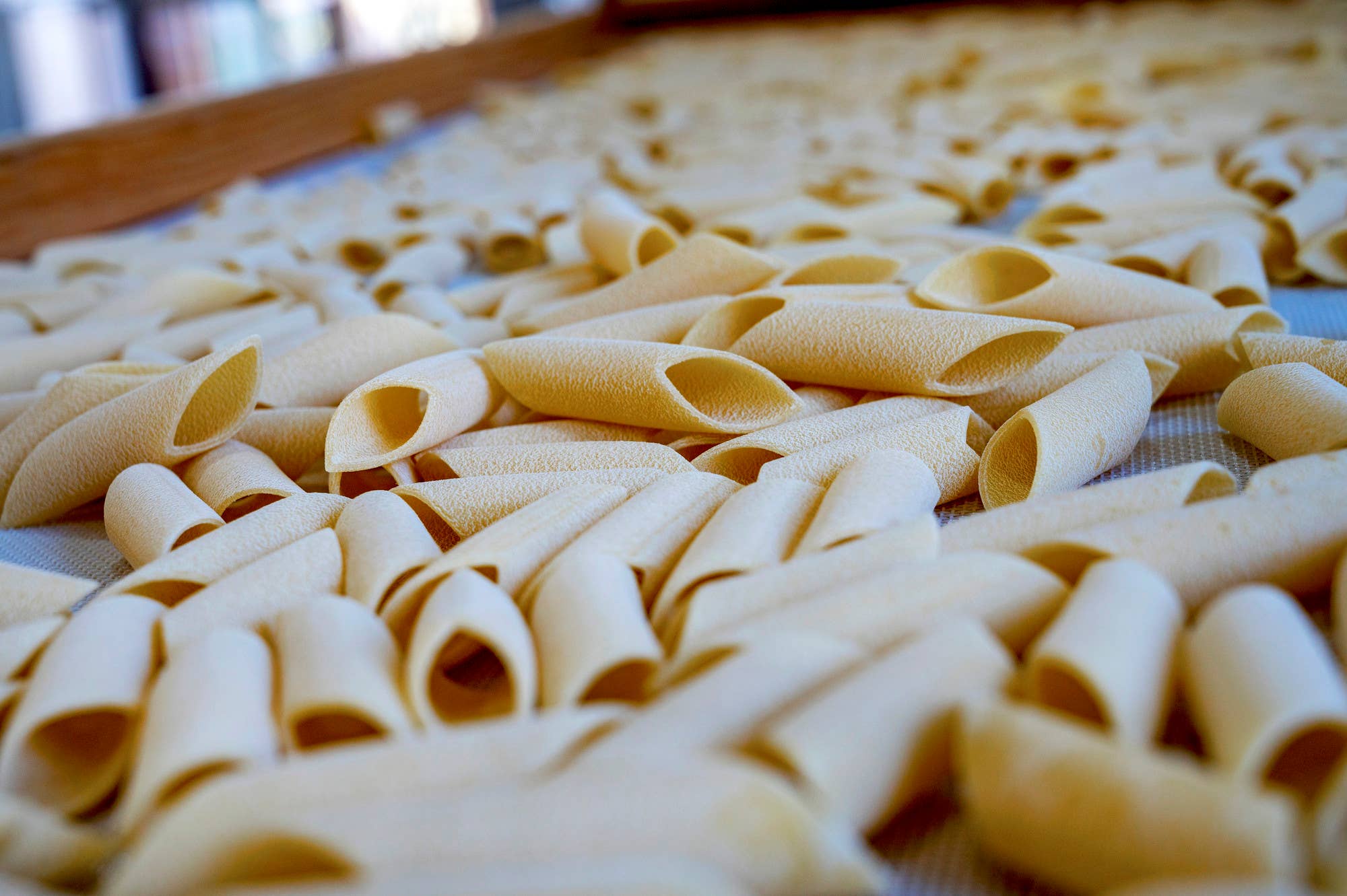 Pasta Buondonno di Andrea Buondonno - Wholesale Pasta - Pennoni Lisci, Pasta di Gragnano PGI2