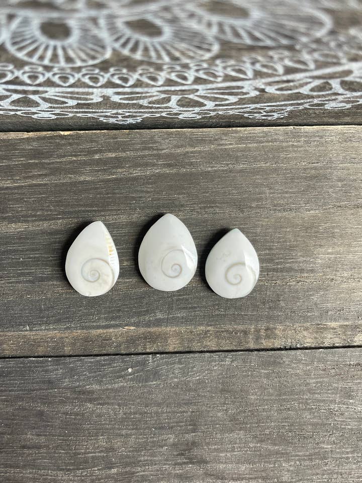 Shiva Shell Spiral - Shiva Eye Natural Fossil Gift for wholesale by Tumbledshop