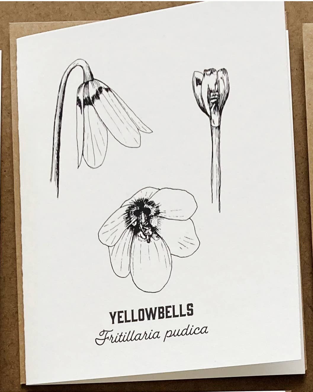 Madrona Press - Wholesale DIY Craft Kit - Watercolor Card Kit - 1 Wildflower Card11