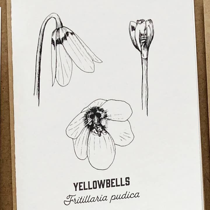 Madrona Press - Wholesale DIY Craft Kit - Watercolor Card Kit - 1 Wildflower Card11