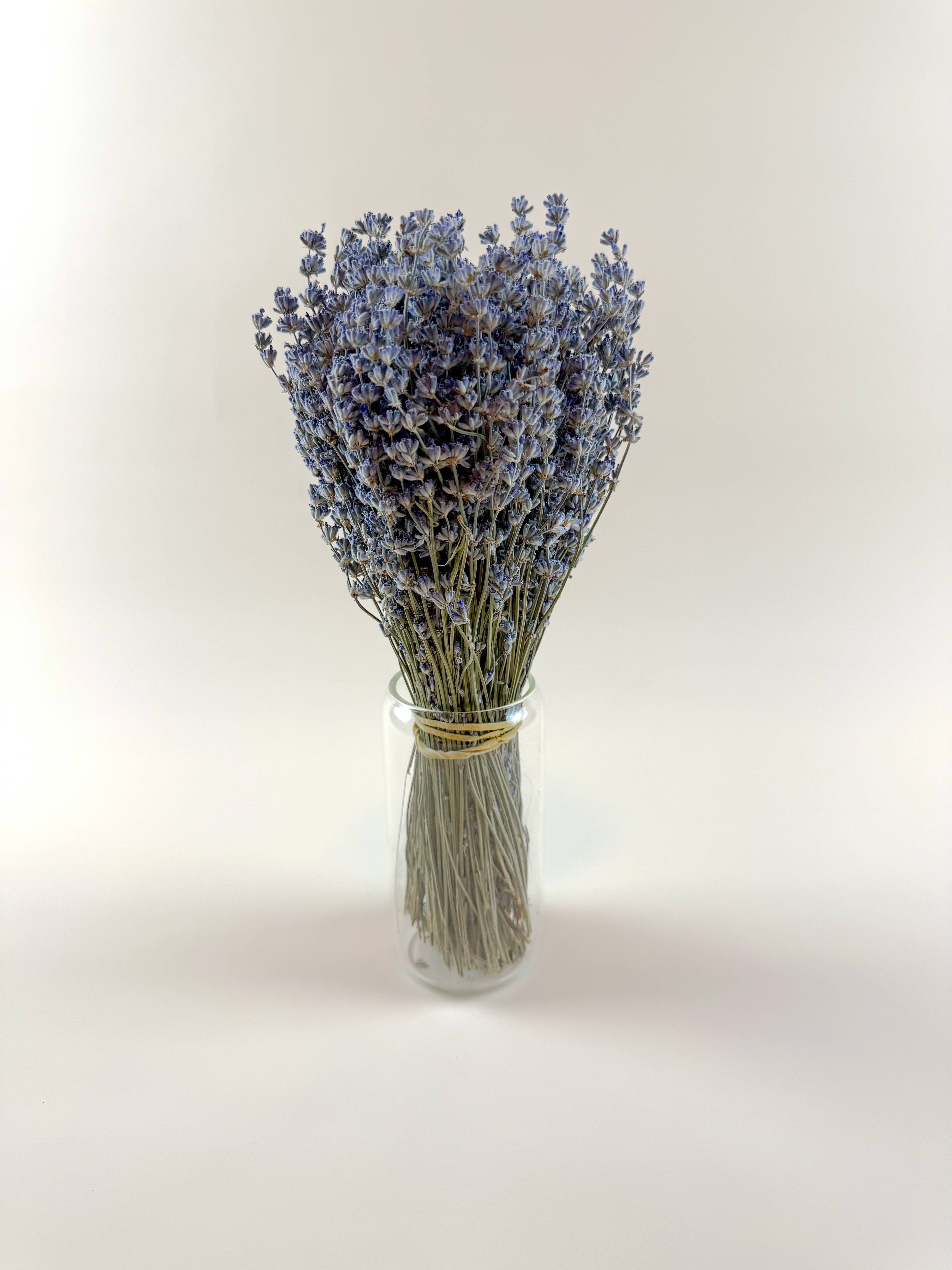 Lovejoy Farms Premium Dried Flowers - Wholesale Dried/Pressed Flowers - Light Blue Lavender – Naturally Air-Dried Florals2