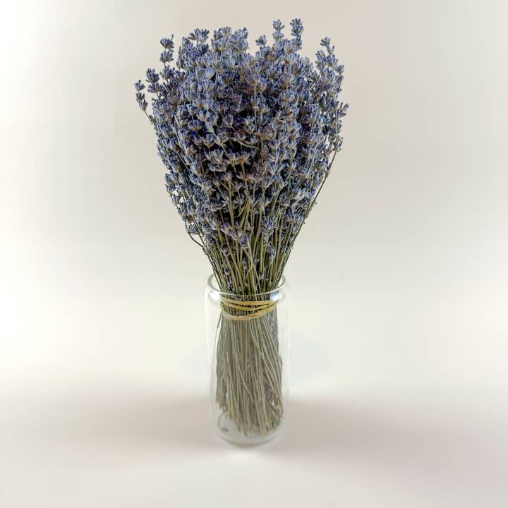 Lovejoy Farms Premium Dried Flowers - Wholesale Dried/Pressed Flowers - Light Blue Lavender – Naturally Air-Dried Florals2