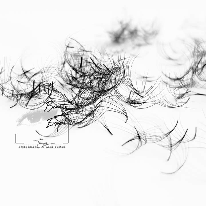 Beautyexpert-shop - Wholesale False/Fake Eyelashes - Handmade 5D eyelash fans (5in1 mix), fluffy fans, lashes6