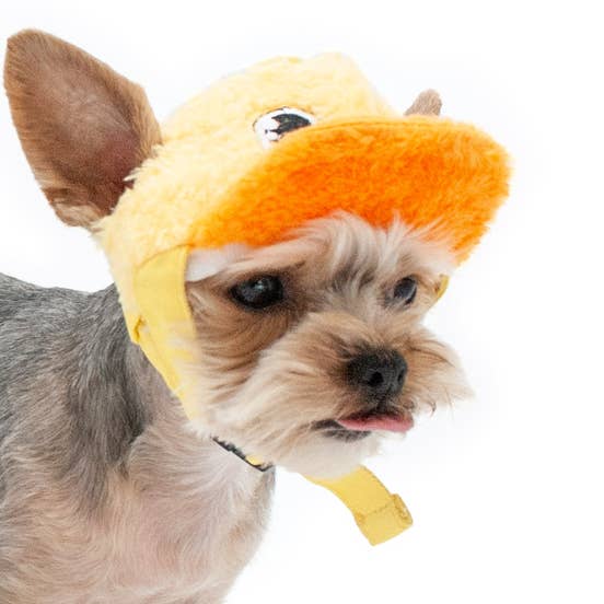 Dogo Pet - Vendita all'ingrosso Cappello - Cani - Cappello da baseball a forma di papera7