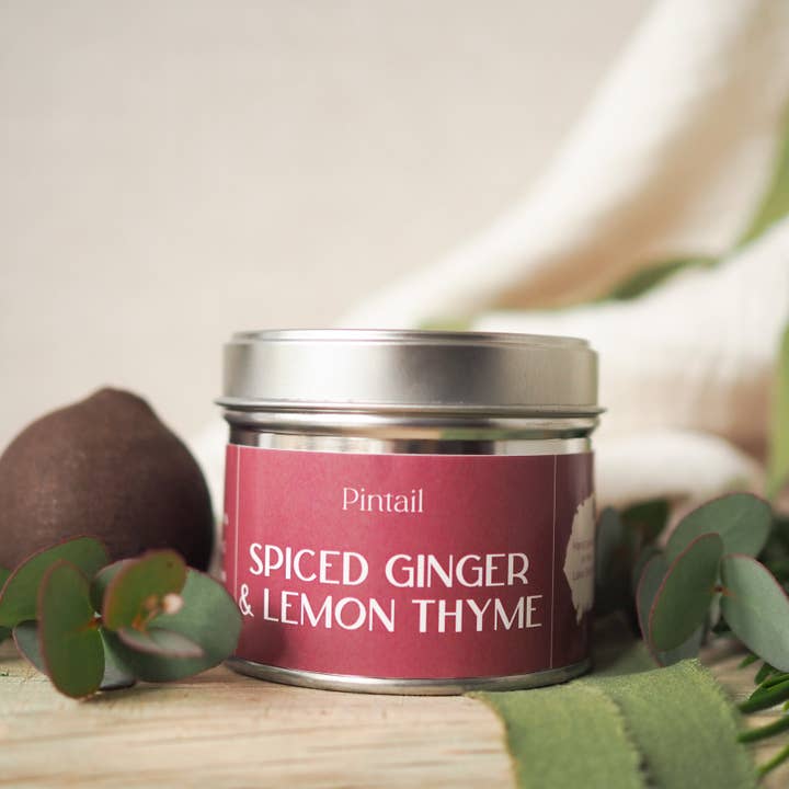 Spiced Ginger & Lemon Thyme Classic Tin (Pack of 6) for wholesale by Pintail Candles | Avalon Home