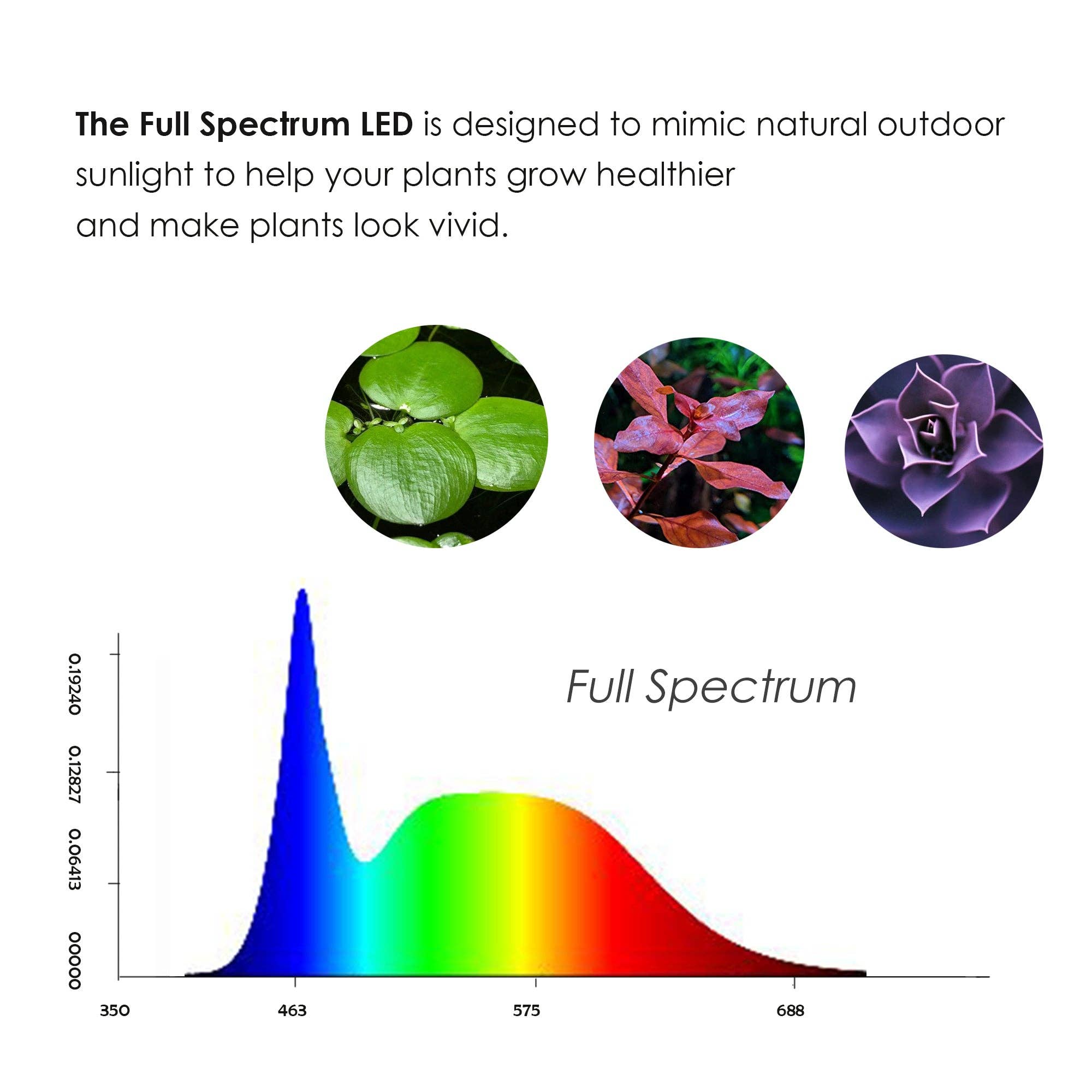 HIRO AQUATICS - Wholesale Accent/Desk Lamp - Full Spectrum LED Light, fits Aquarium Nano Tank, Wabi Kusa2