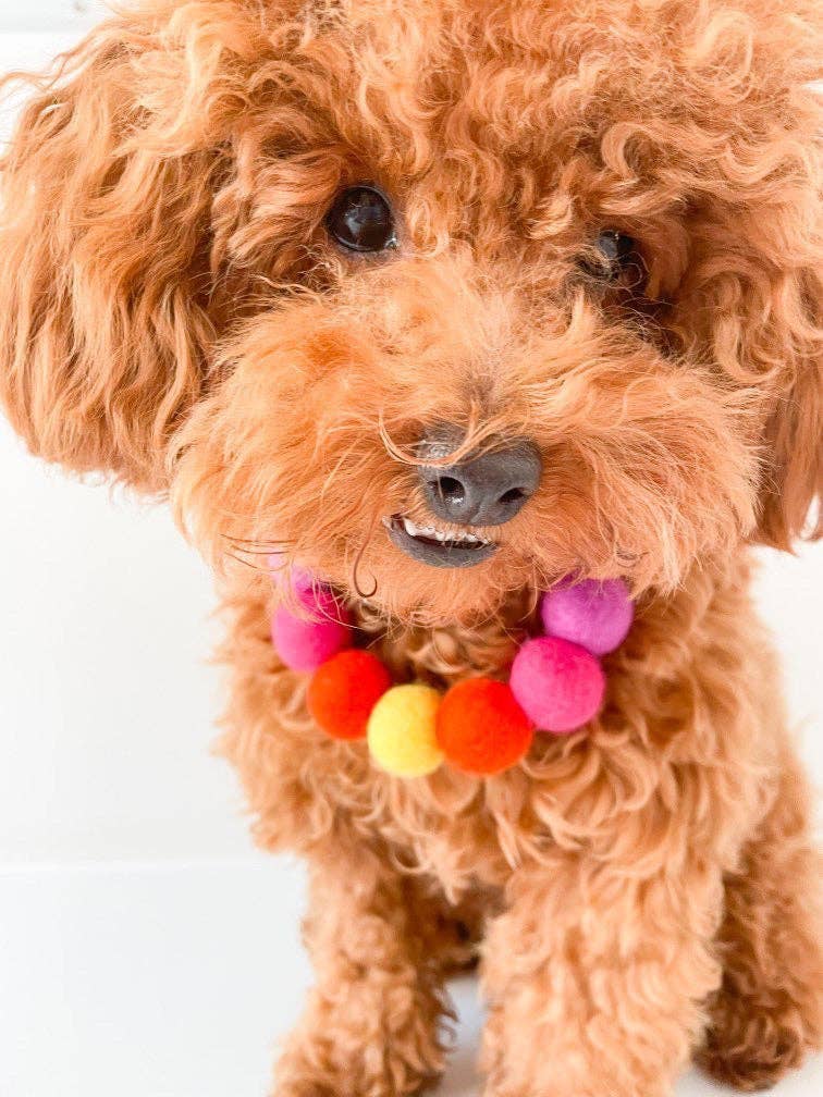 Puppies & Pom Poms - Wholesale Pet Collar - Dog - Pink - Personalised Pom Pom Dog Collar37