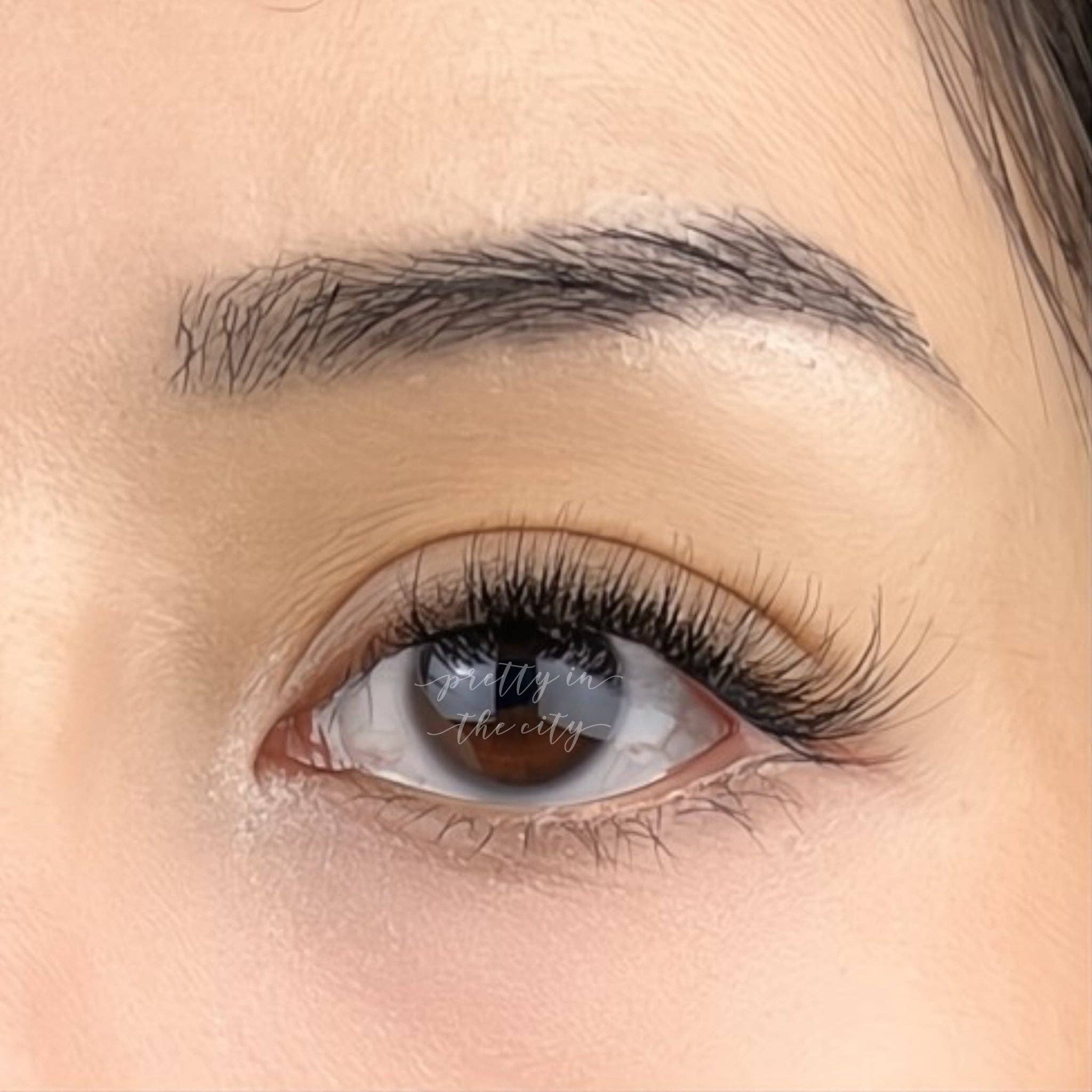 Pretty In The City Beauty - Wholesale False/Fake Eyelashes - Pre-Glued Lashes - Natural Pretty3