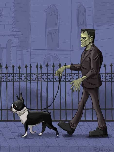 Kunstdruck Boston Terrier, Frank'n Monster, Hund für den Großhandel von Brian Rubenacker studios