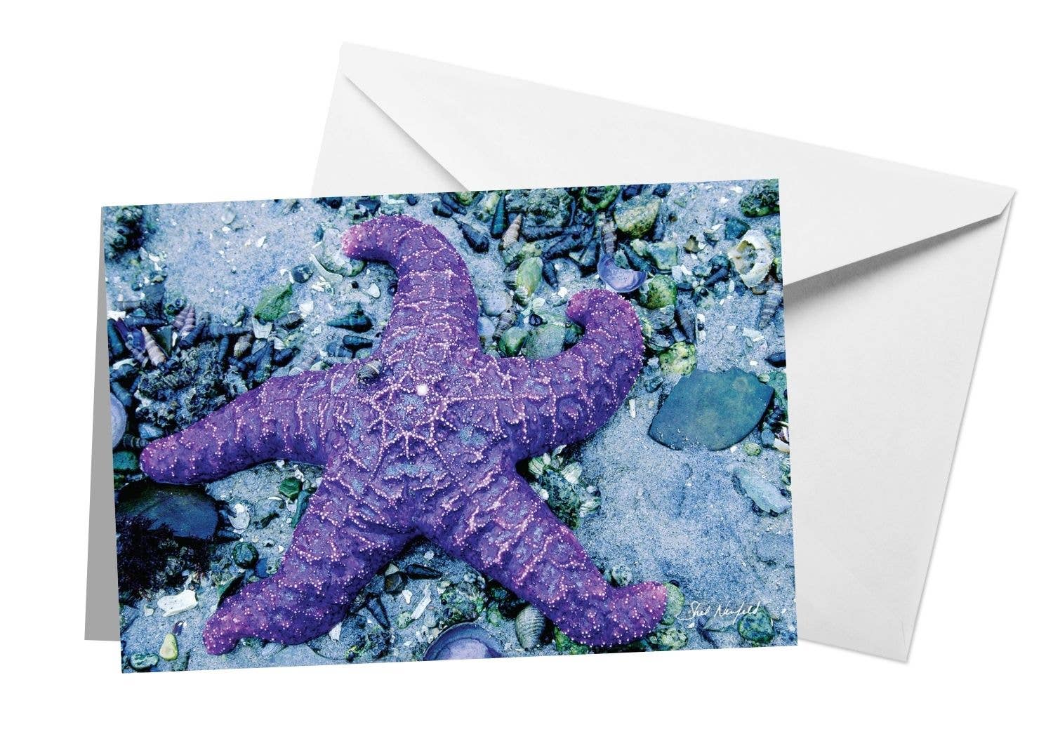 WildArt Photography Greeting Cards – Engroshandel Hverdagshilsen kort – Lilla Søstjerner2