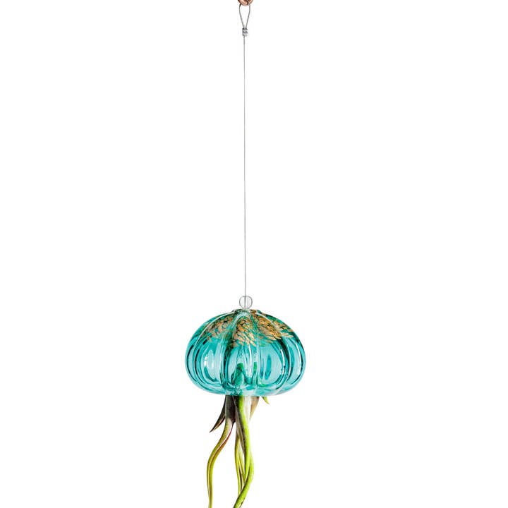 ApricotMint - Wholesale Hanging Planter - Cauliflower Jellyfish Air Plant Holder (plant not included)
