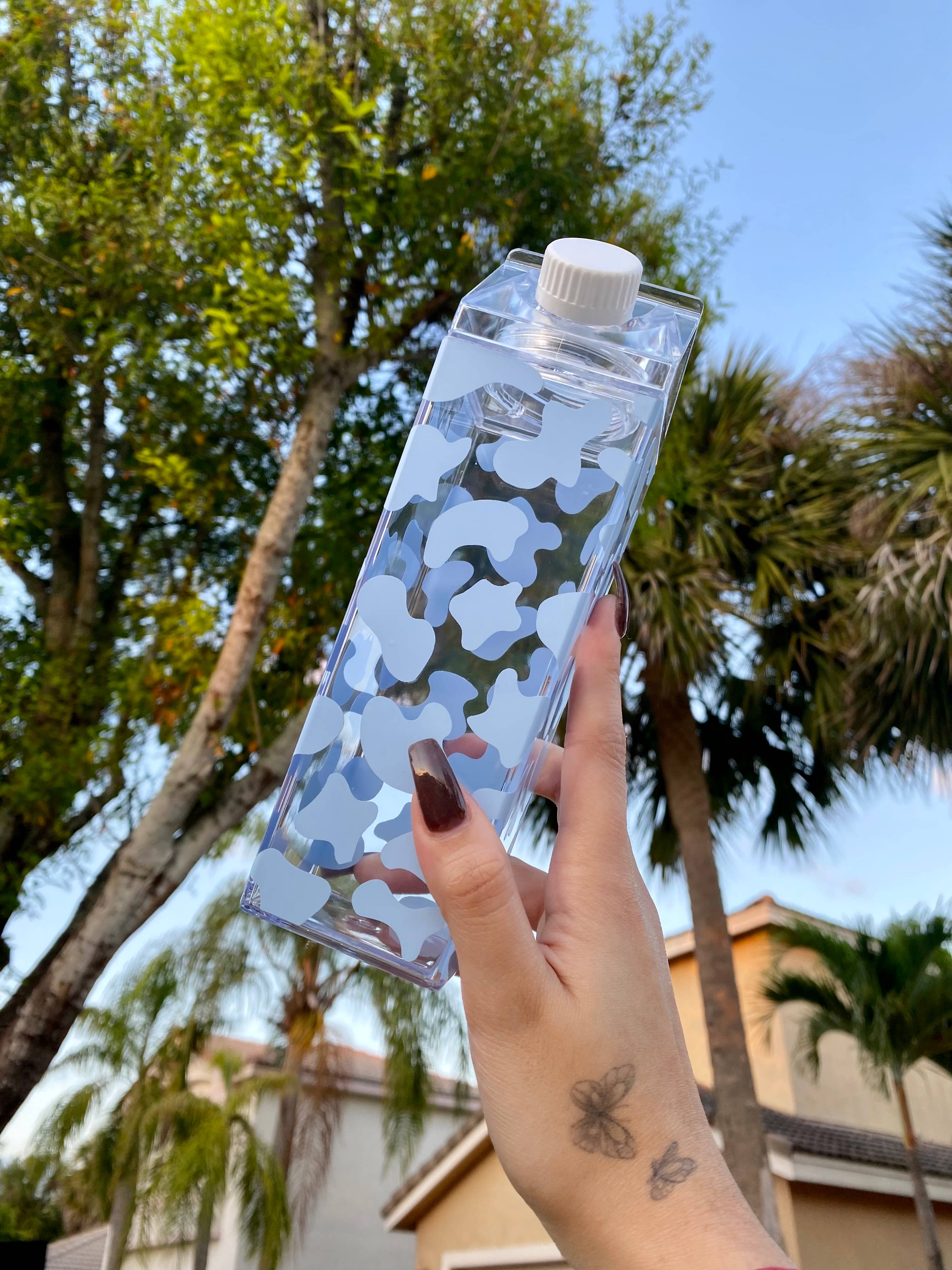 Paulakoalaco - Vendita all'ingrosso Borracce - Cartone di latte di mucca6