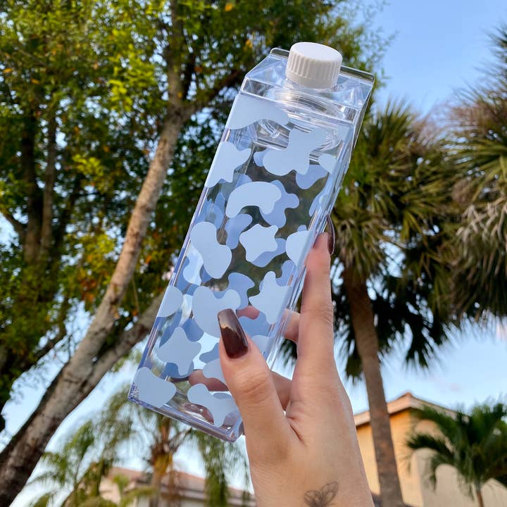 Paulakoalaco - Vendita all'ingrosso Borracce - Cartone di latte di mucca6