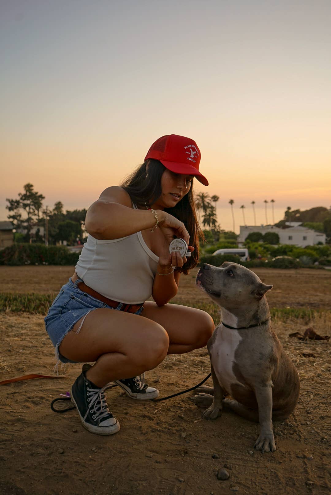 Emerson's Ruff - Vendita all'ingrosso Snack - Cani - Sacchetti per cuccioli - CUORE DI MANZO E FUNGHI3
