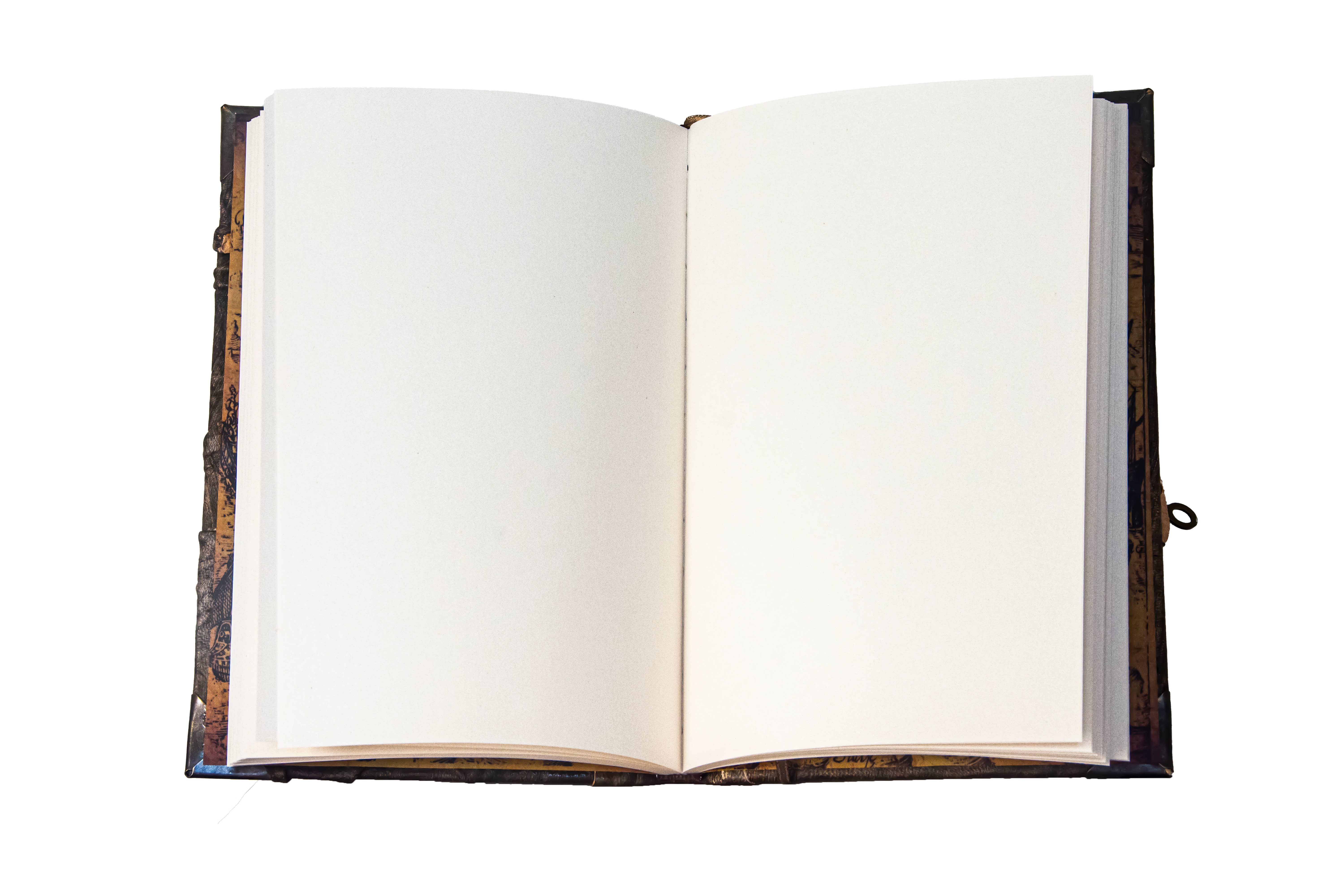 ML Marcaleather – Großhandel Tagebuch – Grünes Krokodilauge Wildes Journal Tagebuch Notizbuch Skizzenbuch4