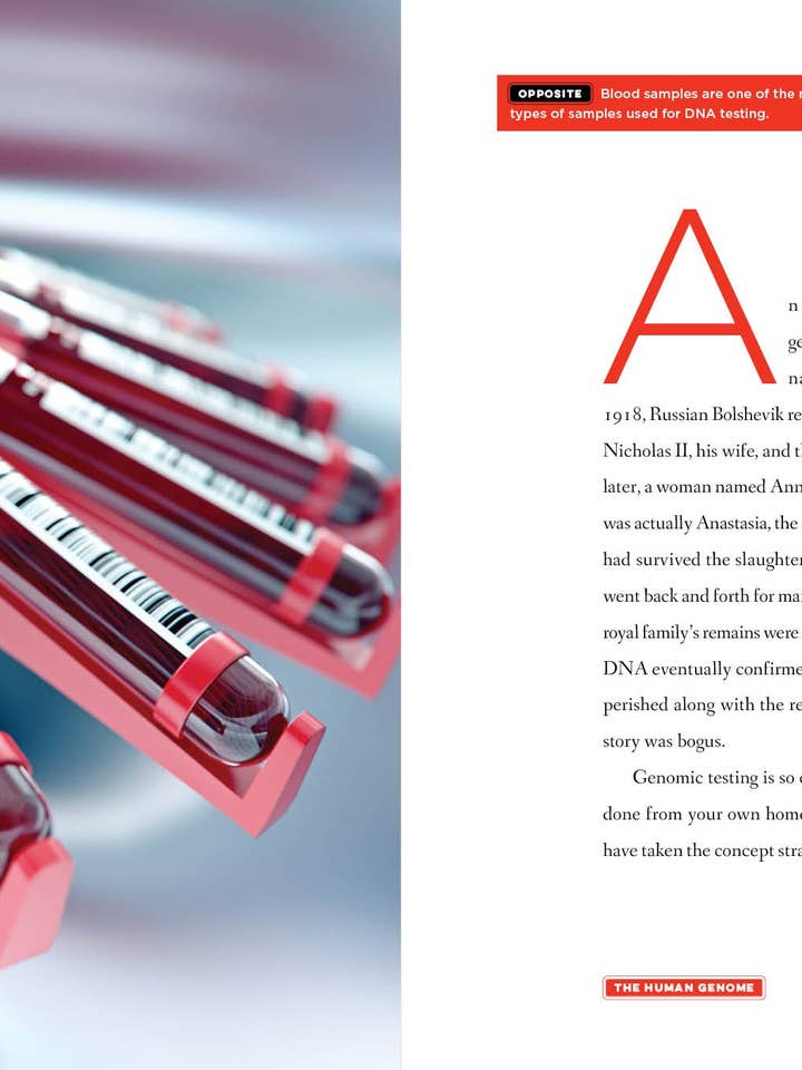 Det menneskelige genom for engroshandel hos The Creative Company