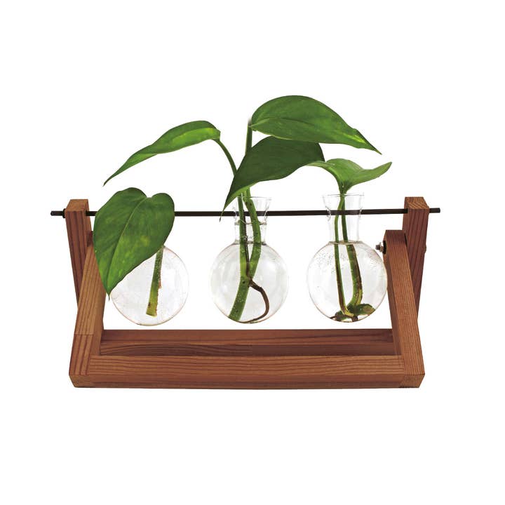 MAGS - Wholesale Vase - Hydro vase Blossom
