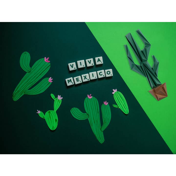 Cactus para venta al por mayor de Owarld