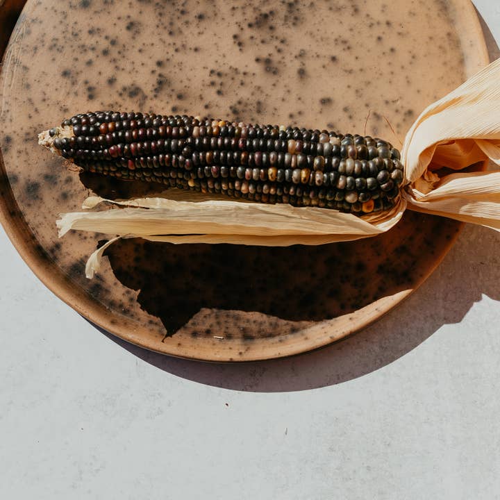 The Zapotec Weavers - Wholesale Dinner Plate - Atzompa Oaxacan Plates1