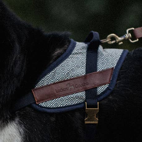 Dalton Safety Harness for wholesale by Ladran Gaucho