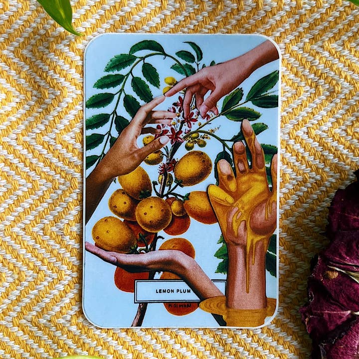 Creation of Lemon Vinyl Sticker • DoodleAllDayy for wholesale by Doodlealldayy