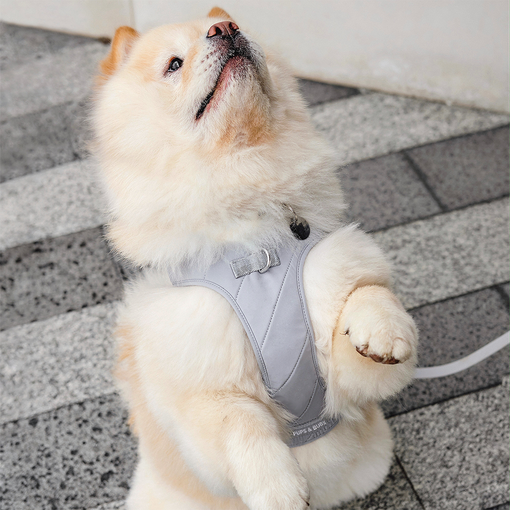 Pups & Bubs - Wholesale Pet Harness - Dog - Roam Luxe Harness (Space) | Dog Walking Gear | Dog Harness2