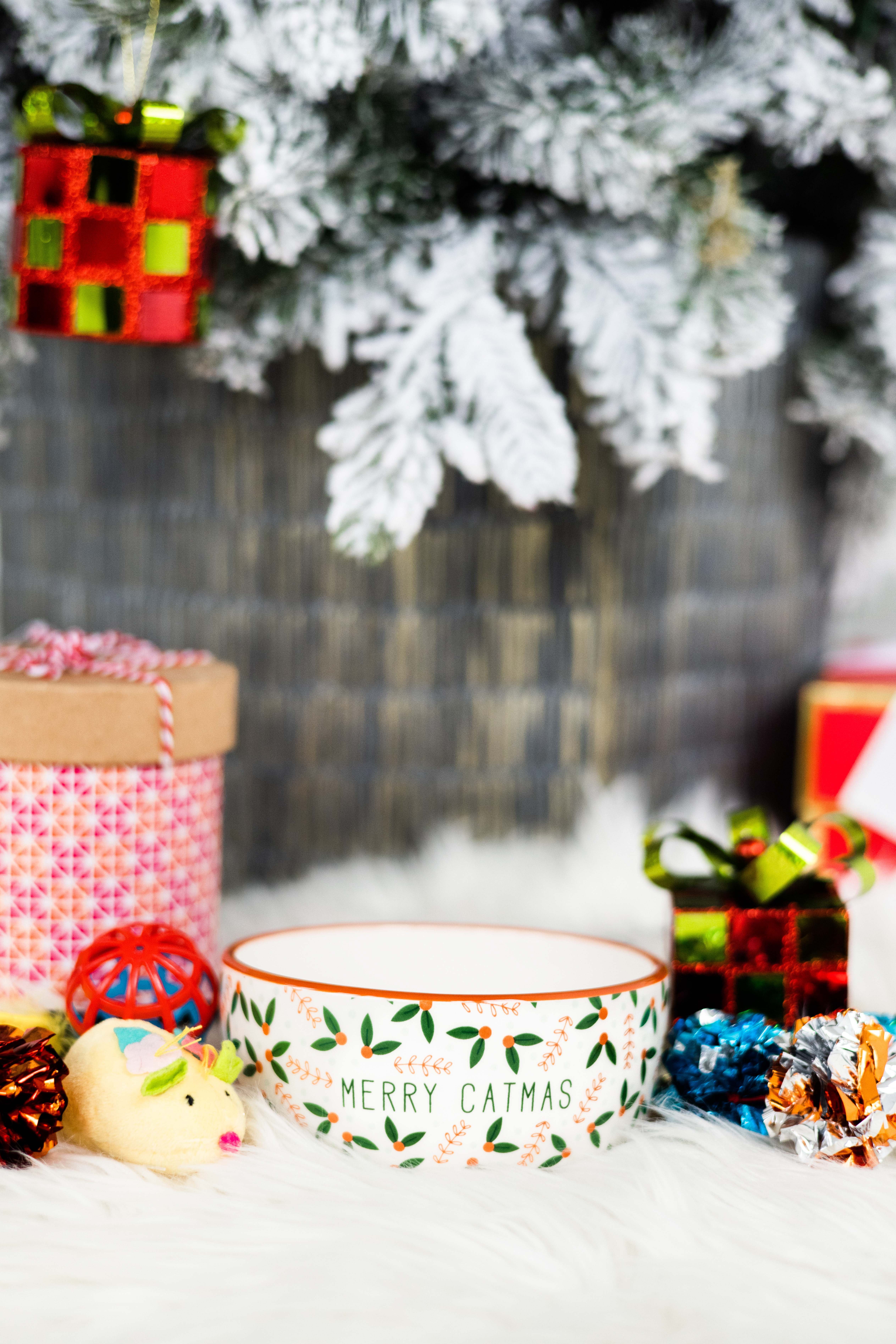 Pearhead - Vente Gamelle – chat et chien - Joyeux Catmas, Fête des Chats et Gamelle de Noël2