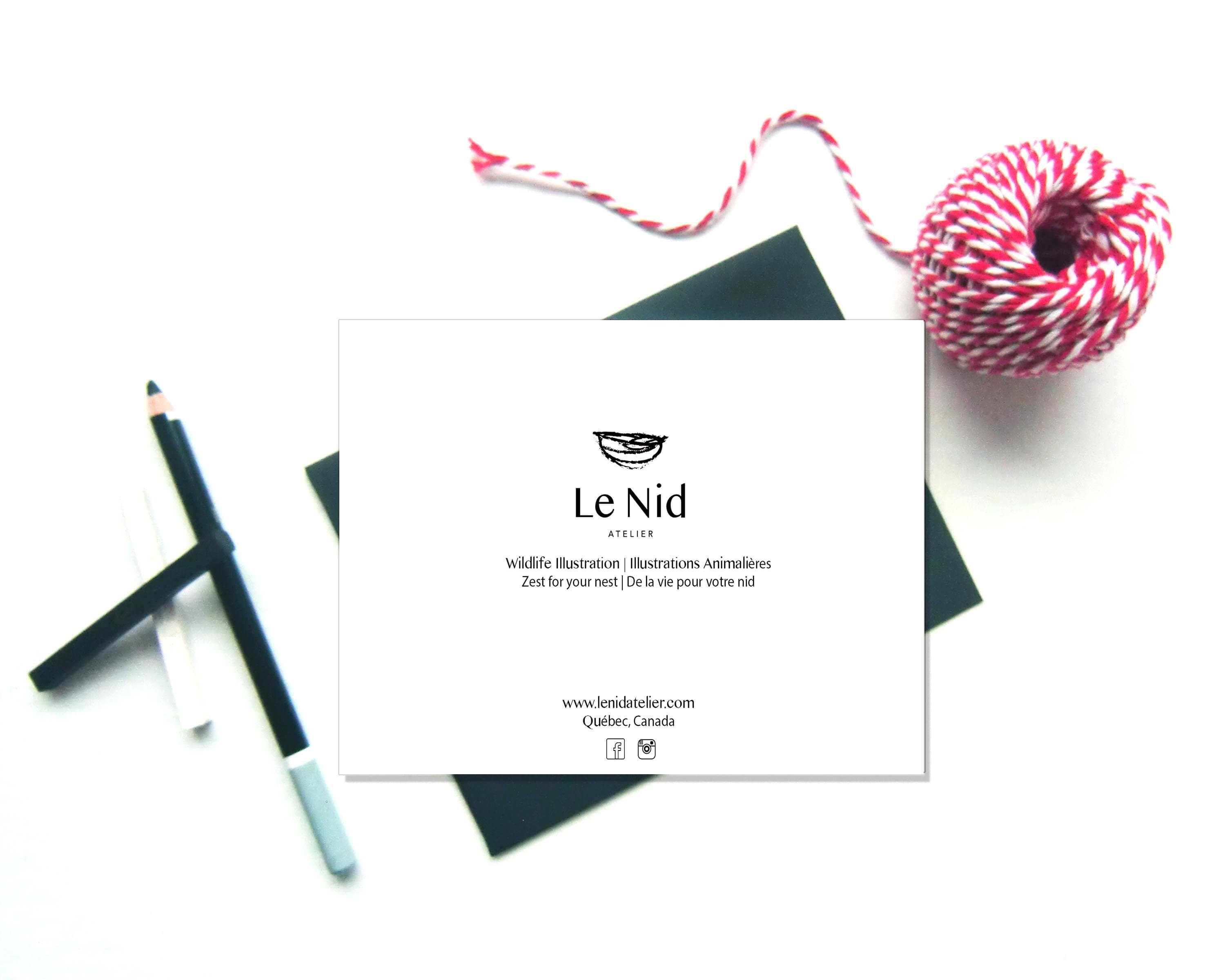 LE NID atelier - Wholesale Everyday Greeting Card - Baby Raccoon Greeting Card2