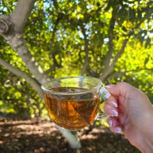 Avocado Tea Co. - Wholesale Health/Detox Tea - Avocado Leaf Peach Tea Blend - Case of 6 Canisters11