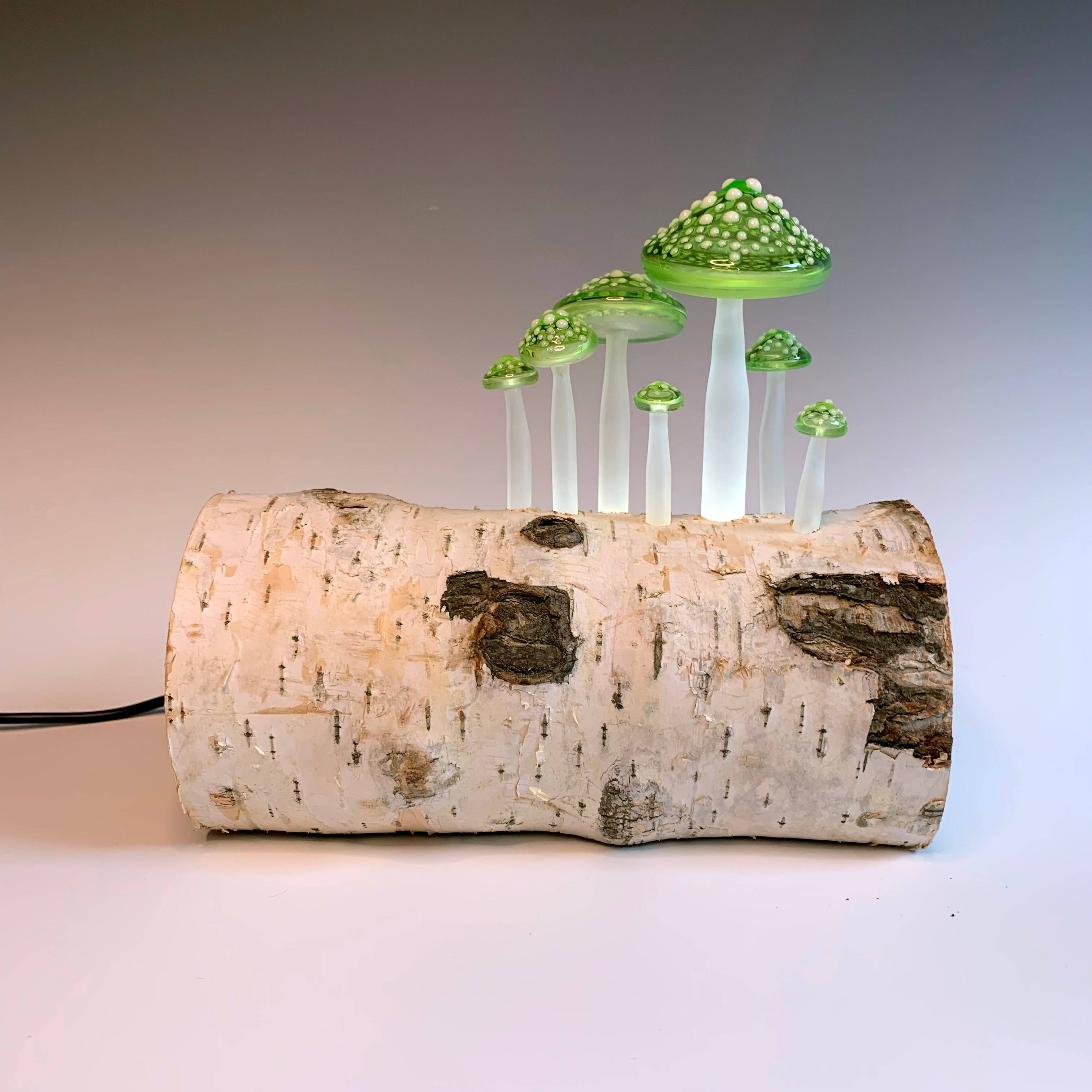 Sage Studios - Wholesale Night Light - Birch Log Lamp5