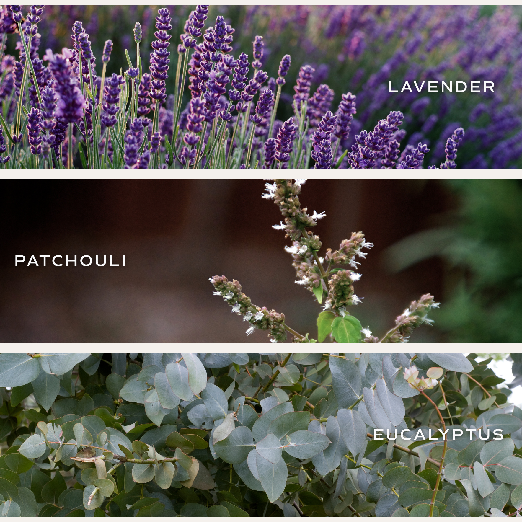 Sweet Water Decor - Wholesale Pot/gevulde kaars - Self Care sojakaars van 9 oz - Woondecoratie en geschenken2