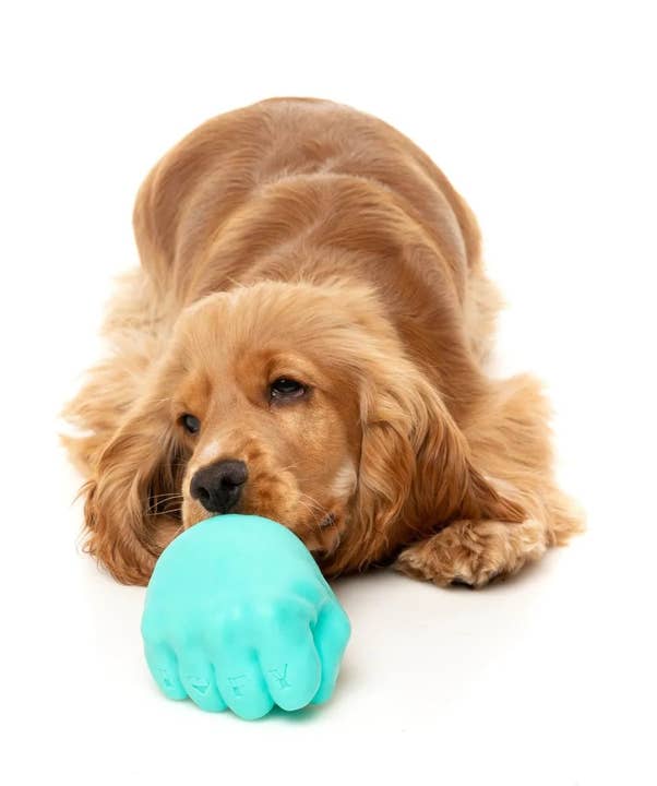 Pet Palette Distribution - Wholesale Pet Chew Toy - Dog - FuzzYard Knuckle Sandwich Dog Chew Toy3