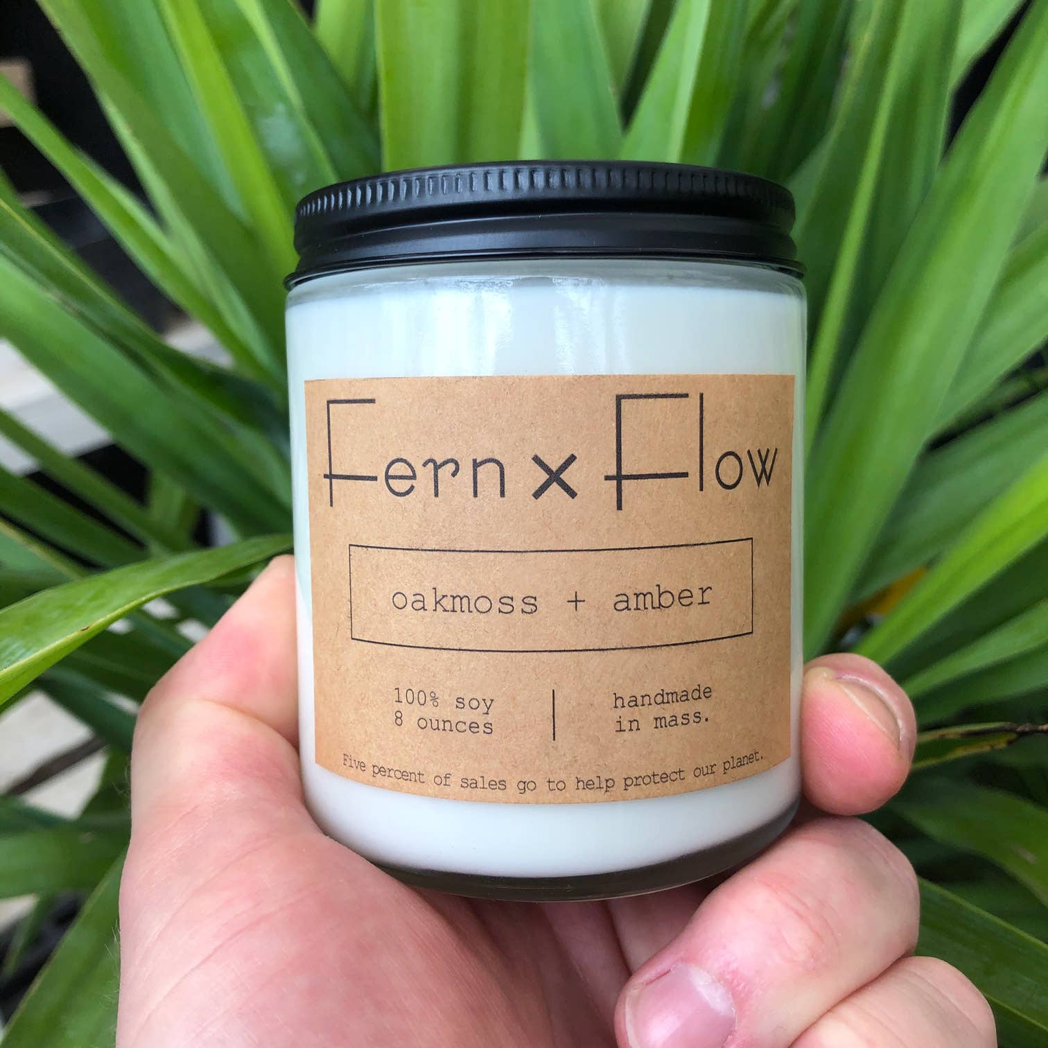Fern x Flow Soy Candles + Home Fragrance - Wholesale Jar/Filled Candle - Oakmoss + Amber Farmhouse Year Round Glass Soy Candle - 8oz2