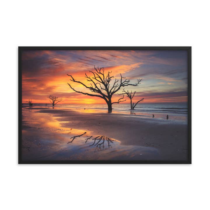 Impression murale encadrée au lever du soleil et aux arbres sur l'île d'Edisto pour la vente par Pipa Wall Art & Home Decor