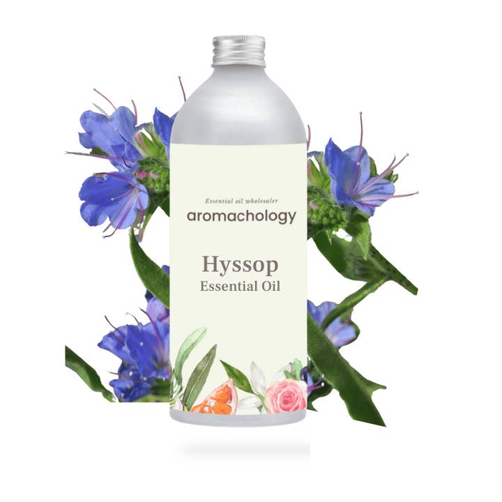 aromachology - Wholesale Essential Oil - Hyssop Essential Oil