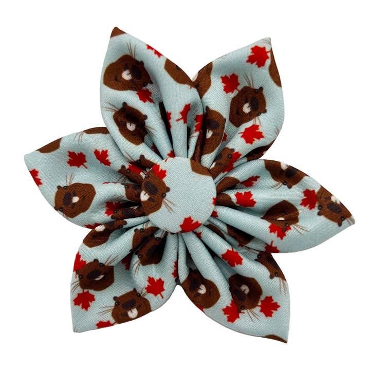 Tossed Beaver Pinwheel for wholesale by Huxley & Kent