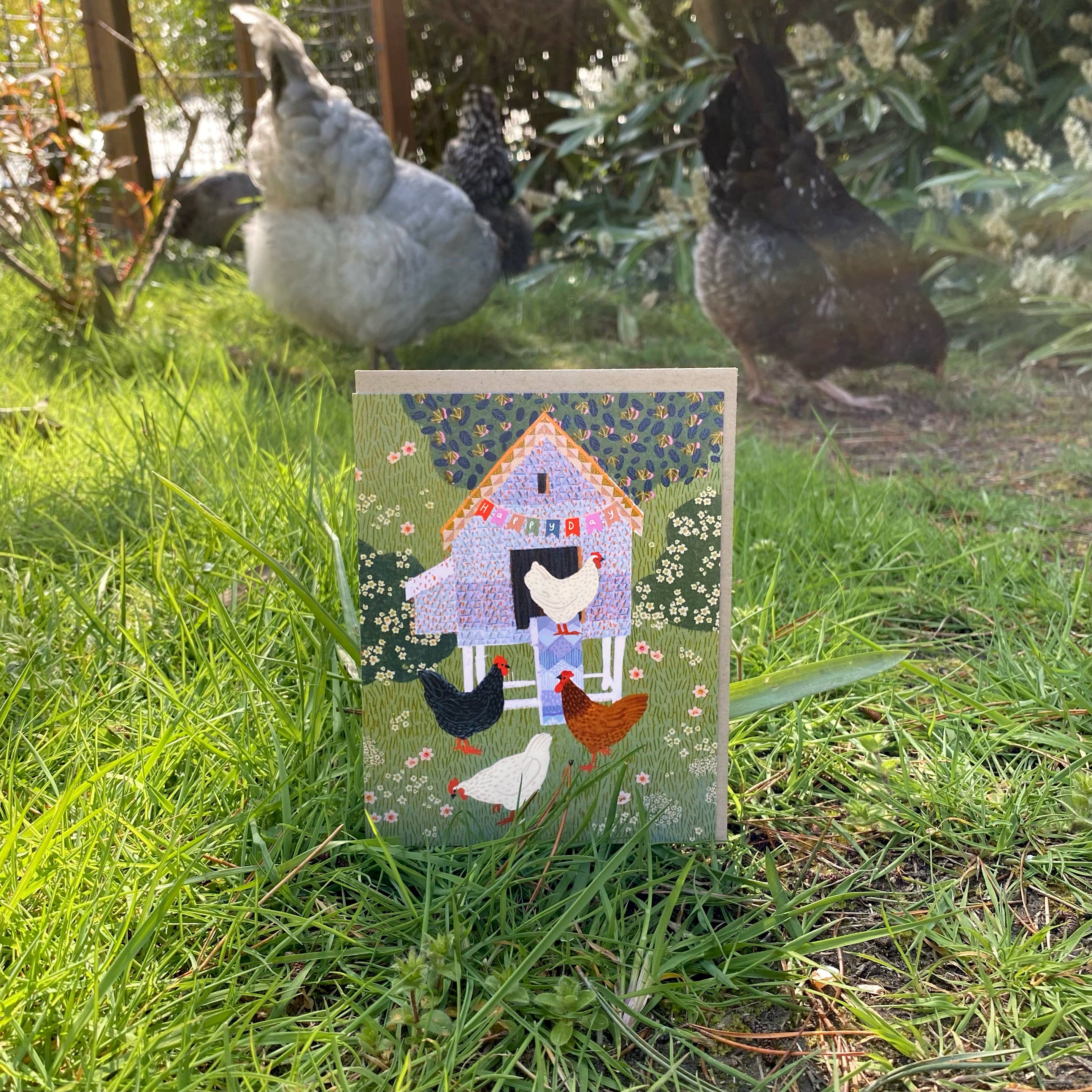 Studio Eleven Papers - Wholesale Verjaardagskaartje - GEEN SRP - Feestelijke verjaardagskaart voor kippenhok5