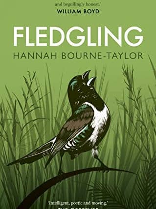 Fledgling by Hannah Bourne-Taylor for wholesale by Boon Books