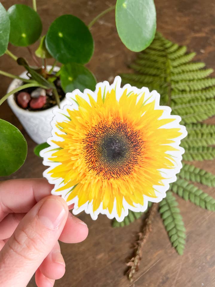 Autocollant en forme d'ours en peluche et de tournesol, durable et résistant aux intempéries pour la vente par Home Roots Design