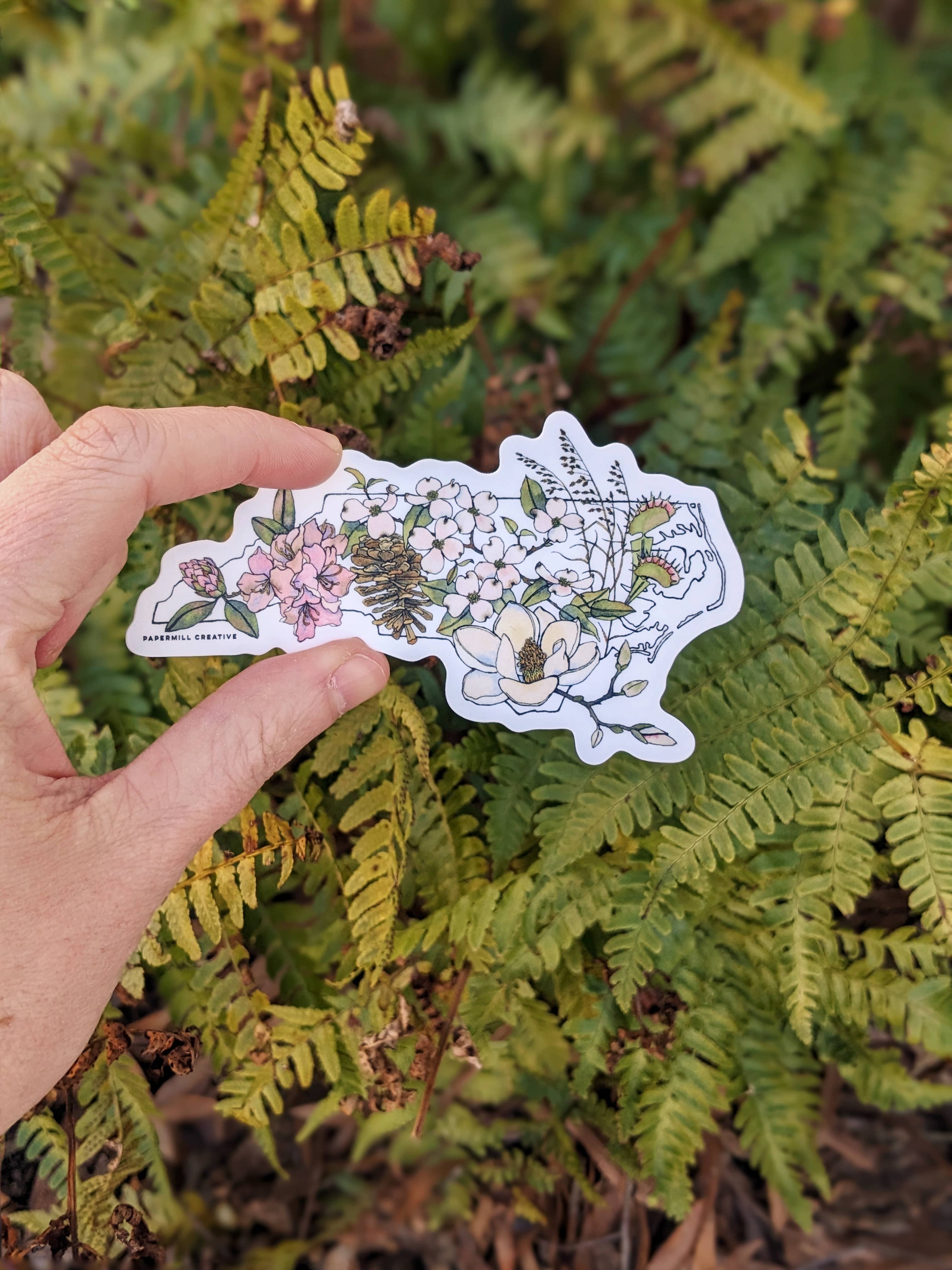 Papermill Creative - Wholesale Sticker - North Carolina Native Plants vinyl sticker1