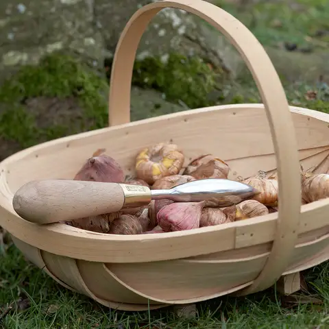 Burgon and Ball – wholesale Garden tool – Sophie Conran - Dibber (Gift Boxed)2