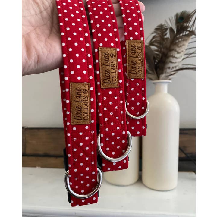 Collier pour chien à pois rouges, Dixie Lane Collars pour la vente par Dixie Lane Collars