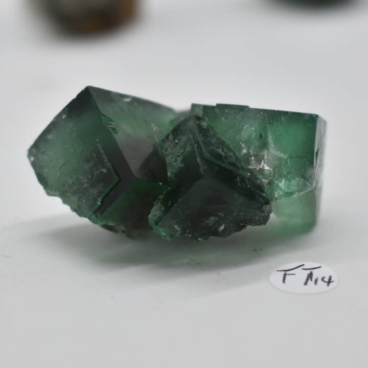 Diana Maria Fluorit Rå Krystalklynge - 8 Størrelser for engroshandel hos Calder Crystals