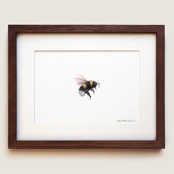 Bumblebee II | Fine Art Print for wholesale by ElizabethAnnFrancis