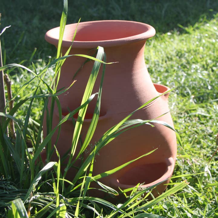 Tour à fraisier / arromates / Plantes pour la vente par Poterie lutton