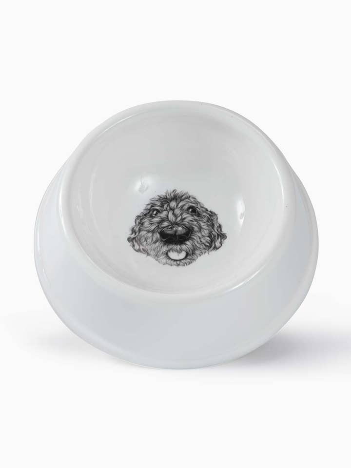 Hundenapf für den Großhandel von The Sculpts