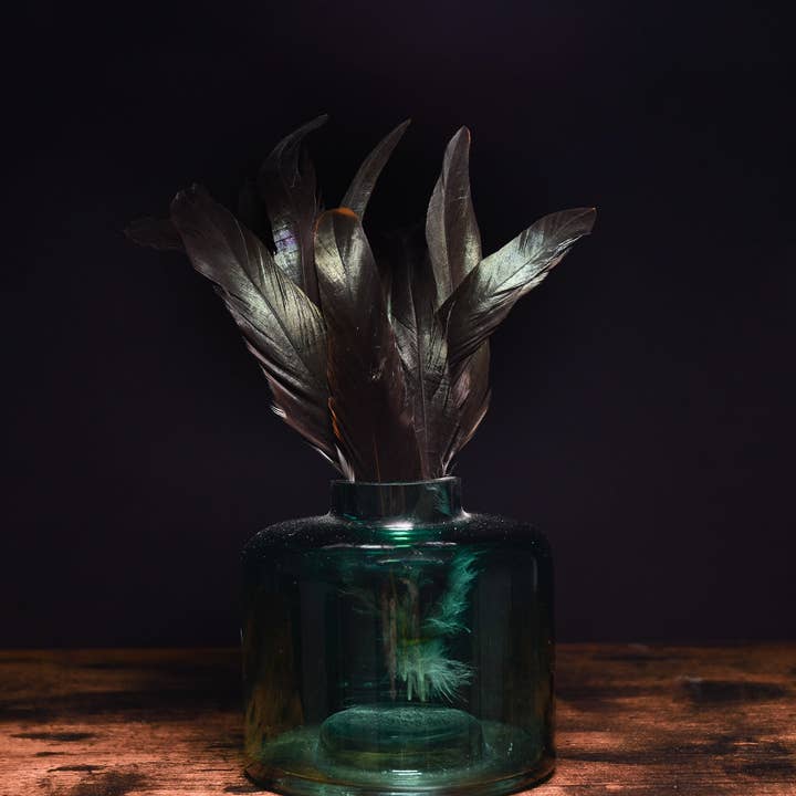 Rooster feathers for wholesale by Plumes Naturelles