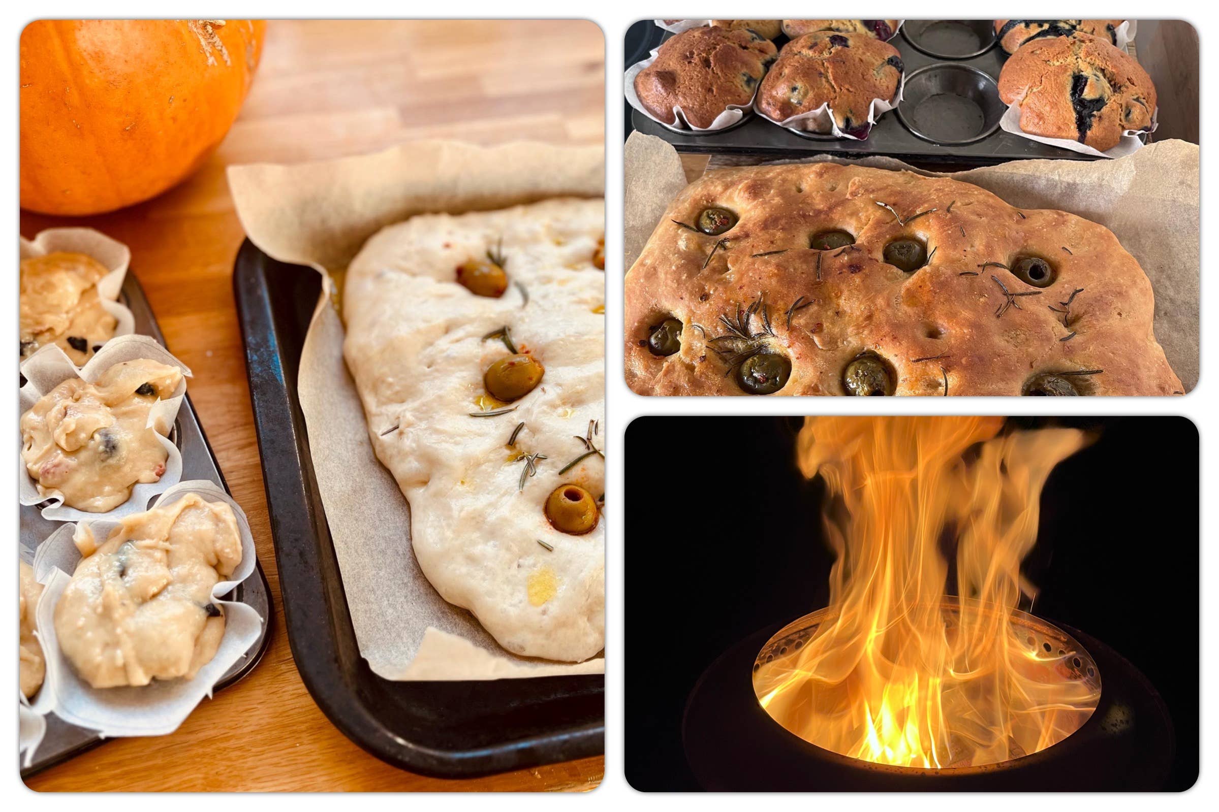 Sourdough by the Sea - Wholesale Bread Mix - British Sourdough Starter White 25 yr old2